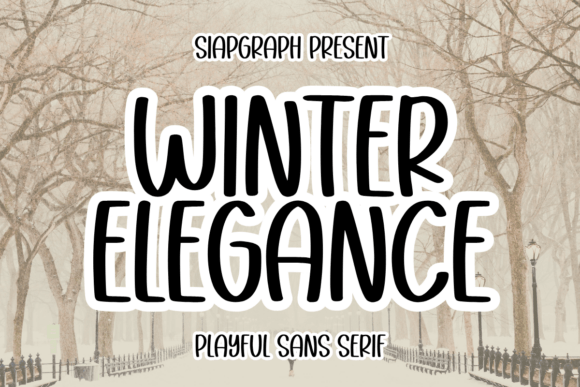 Winter Elegance: A Playful Sans Serif Font for Small Business Branding